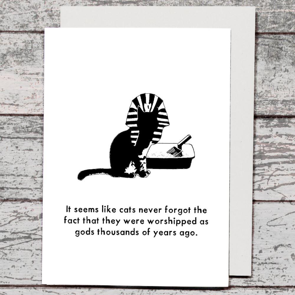 Card - Cats - The Red Dog Gift Shop